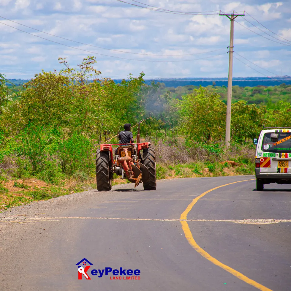 SERENE GARDEN, Matuu Masinga